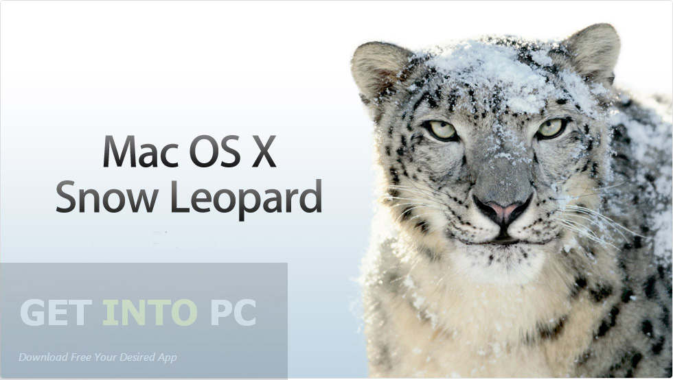 Download Snow Leopard 10.6.8 Dmg